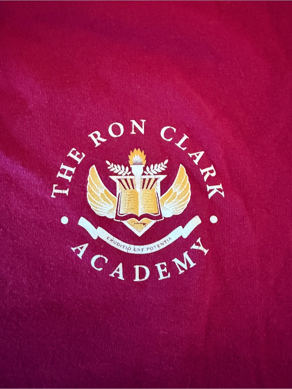 Ron Clark Academy - Gildan Cotton Tee